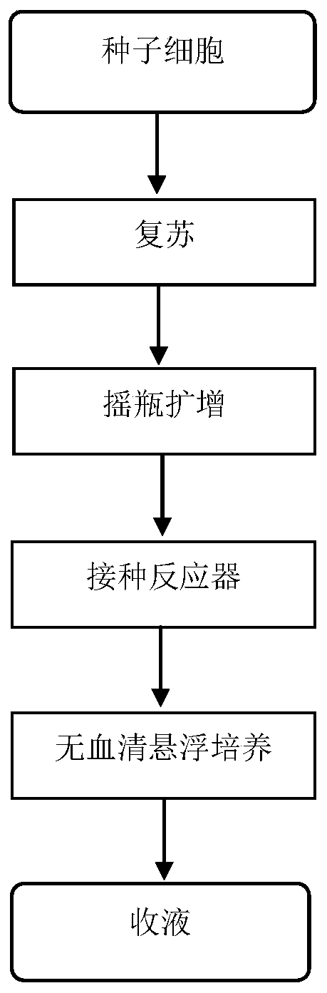 A kind of culture method of cho cell expressing human follicle-stimulating hormone highly