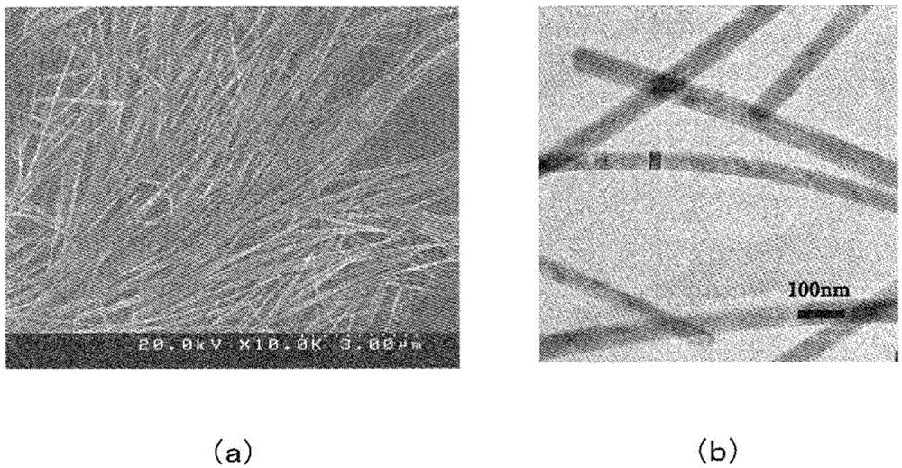 Transparent electrode and method for producing same