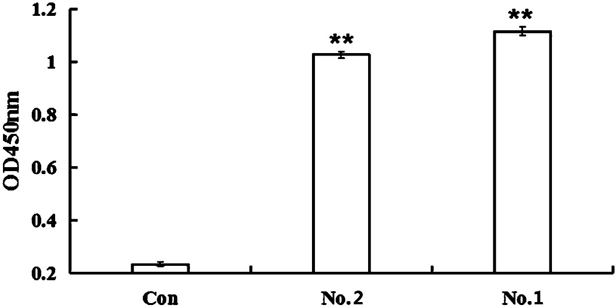 ssDNA nucleic acid aptamer and application thereof in quick detection of vibrio alginolyticus