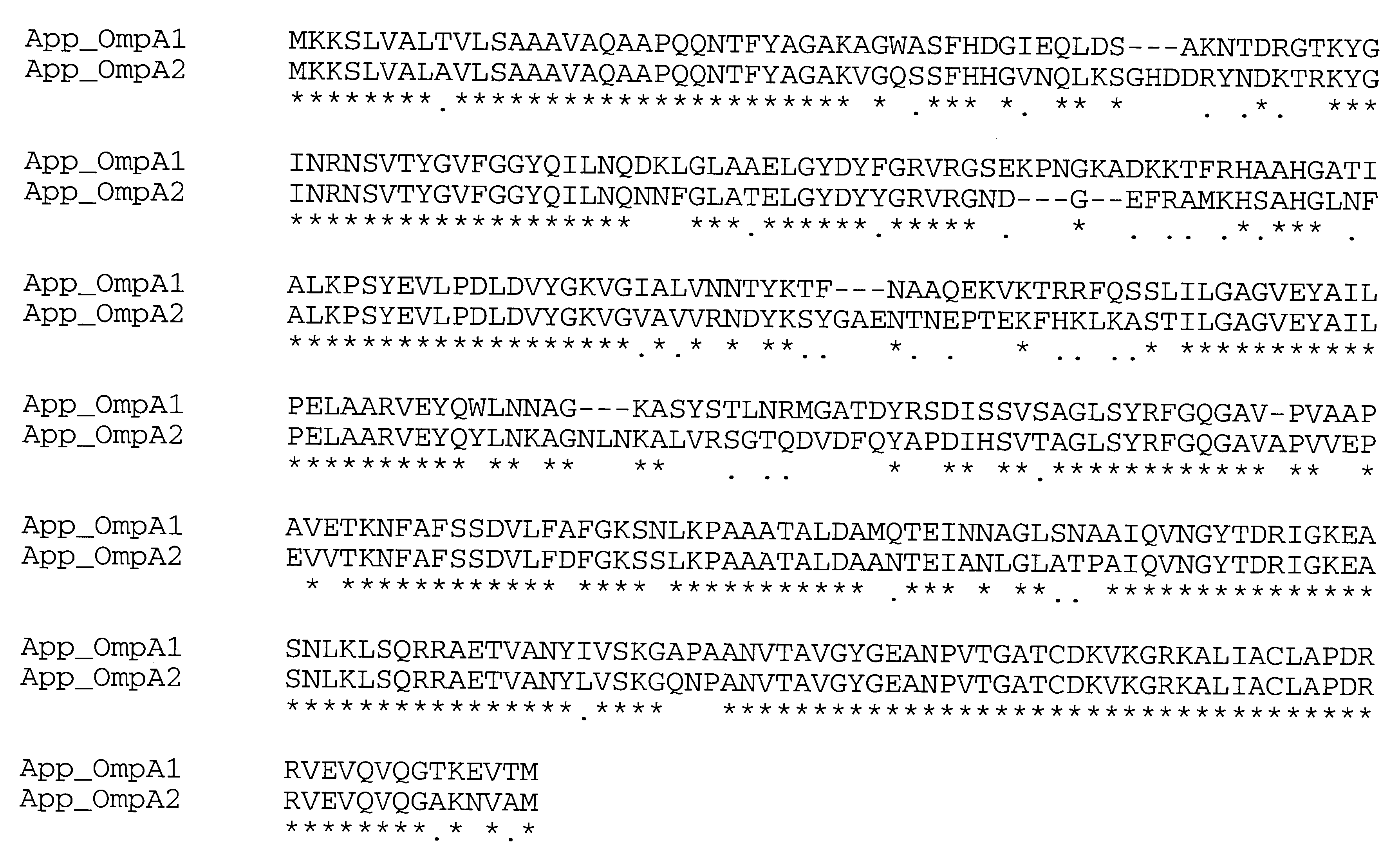 Proteins from actinobacillus pleuropneumoniae