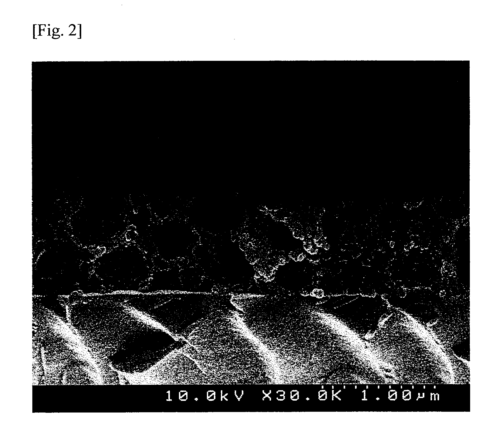 Coating composition, porous membrane, light scattering membrane, and organic electroluminescent element