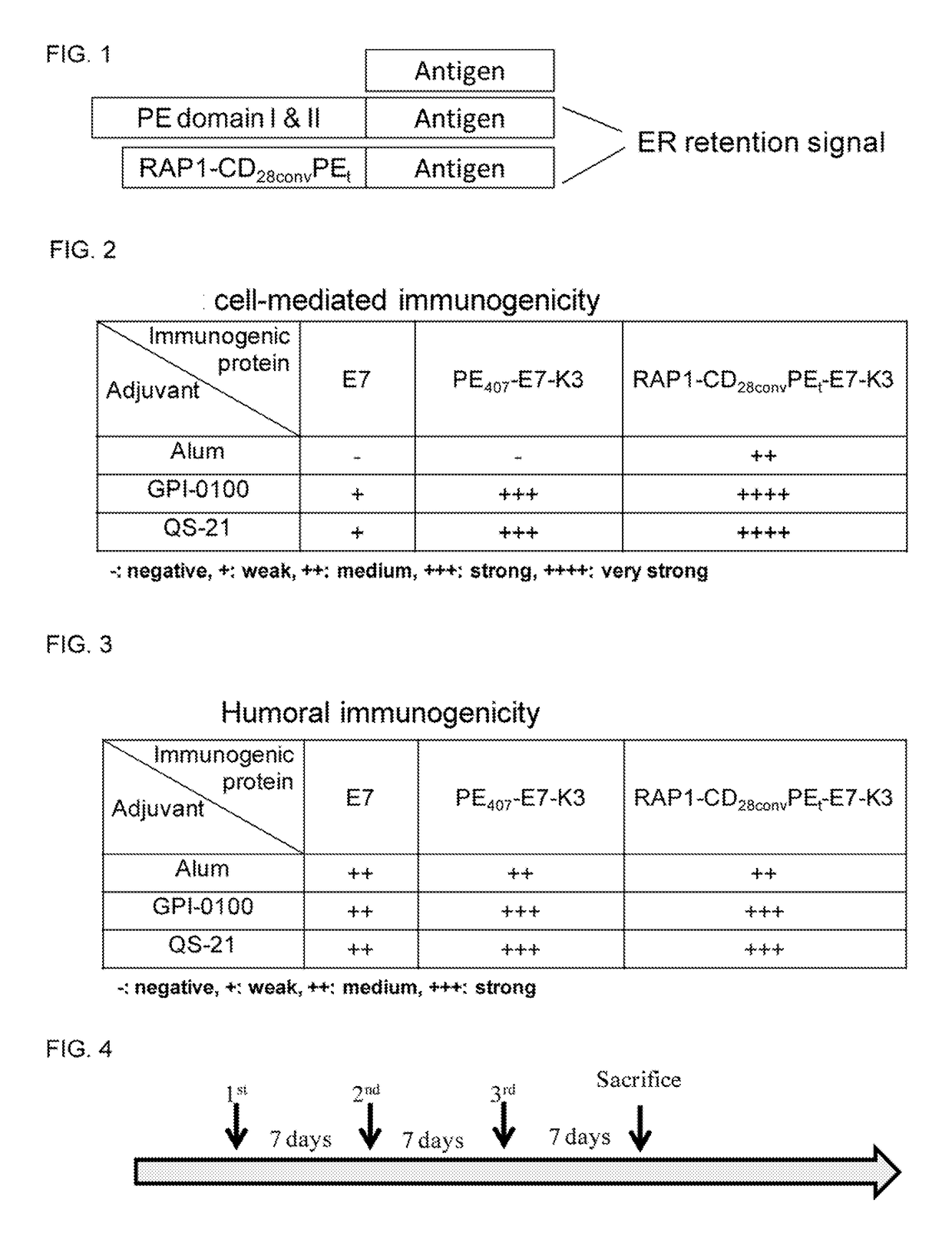 Vaccine composition comprising an immunogenic protein and combination adjuvants for use in eliciting antigen-specific T-cell responses