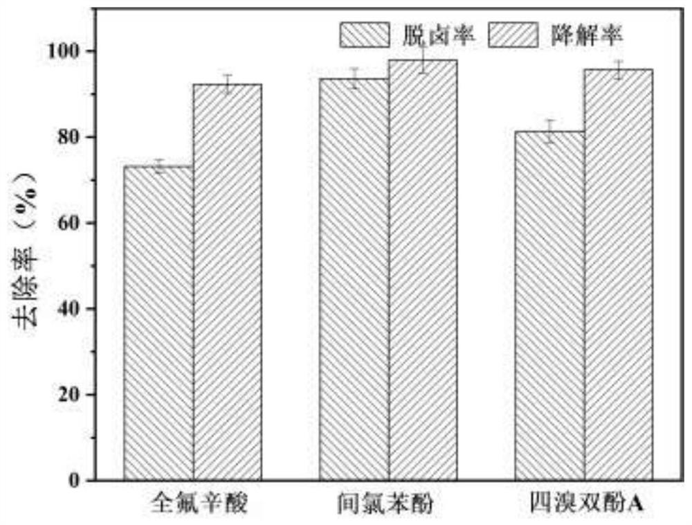 Bipolar electrode, preparation method thereof and wastewater treatment system