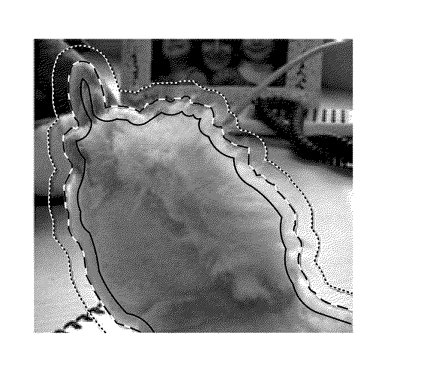 Adaptive Trimap Propagation for Video Matting