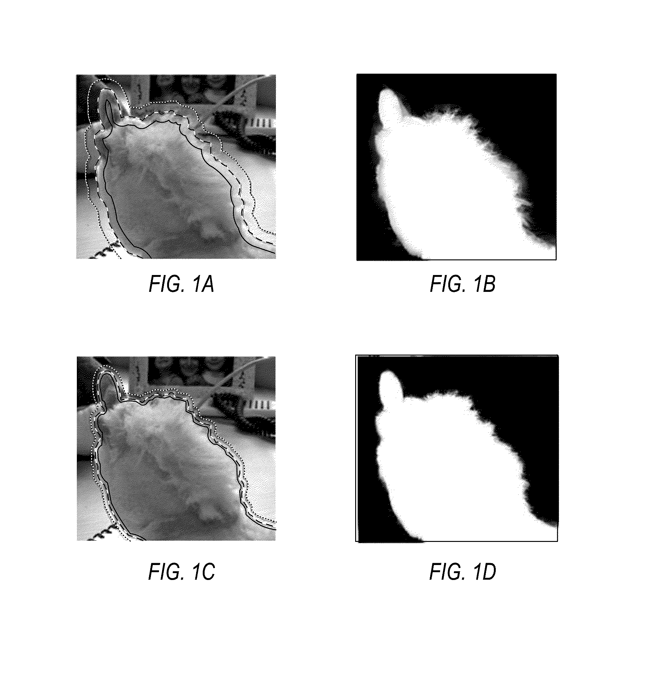 Adaptive Trimap Propagation for Video Matting