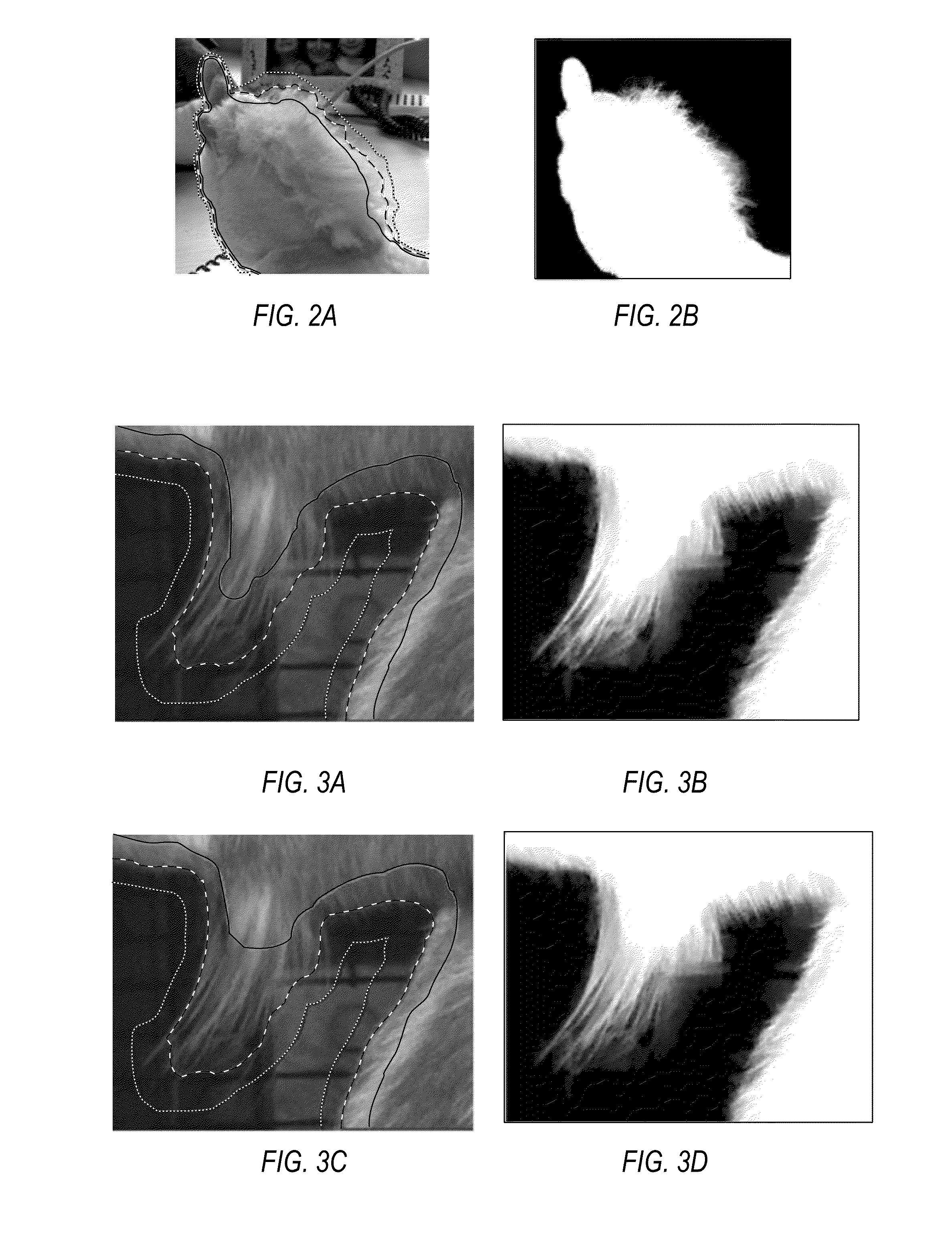 Adaptive Trimap Propagation for Video Matting