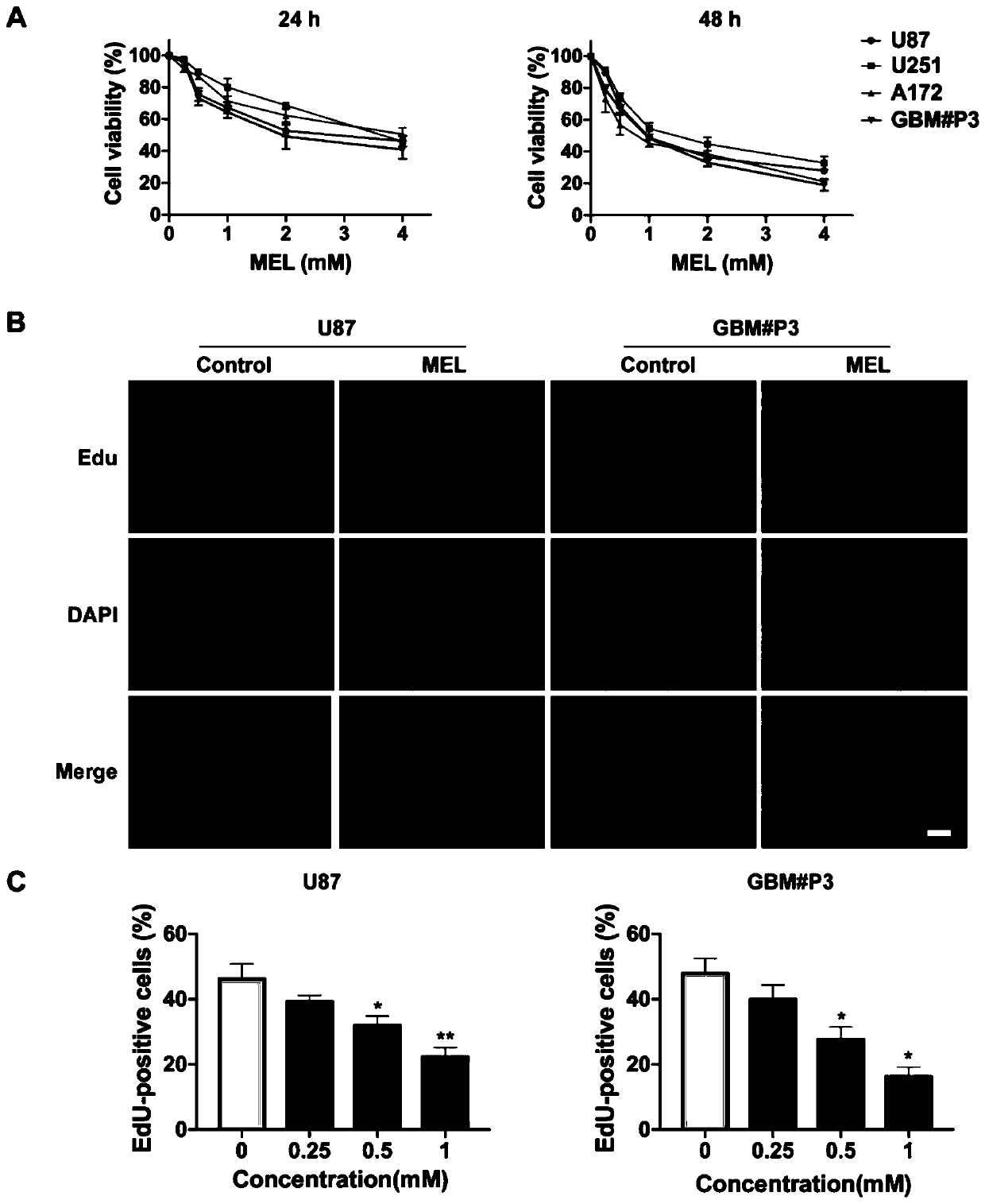 Application of miR-6858 in preventing and treating glioma through melatonin