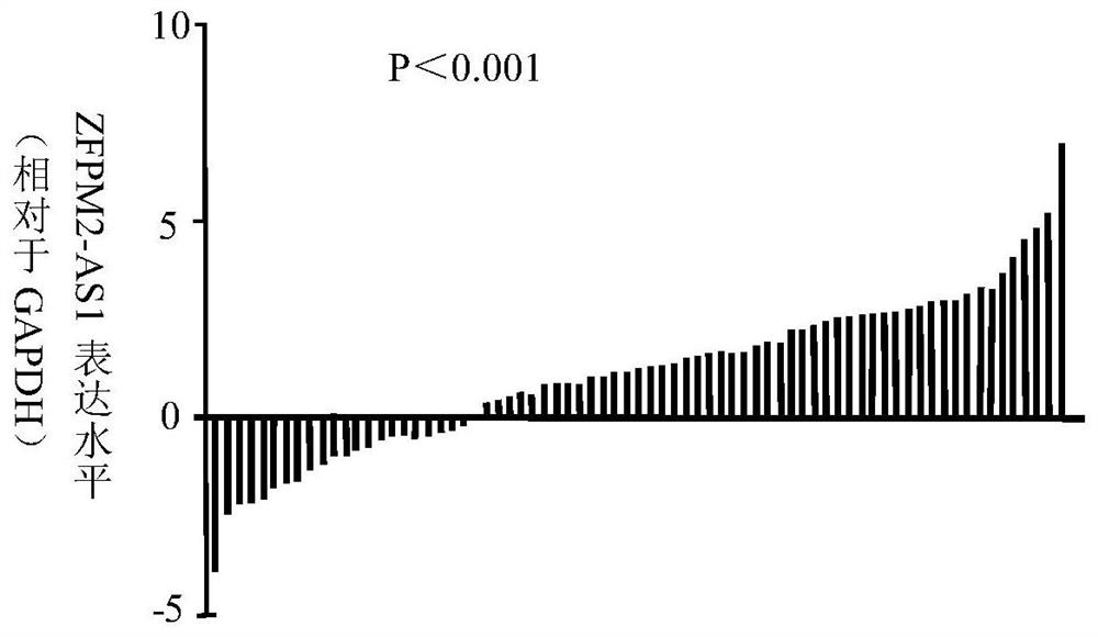 Application of zfpm2-as1 in preparation of gastric cancer diagnostic reagent or kit