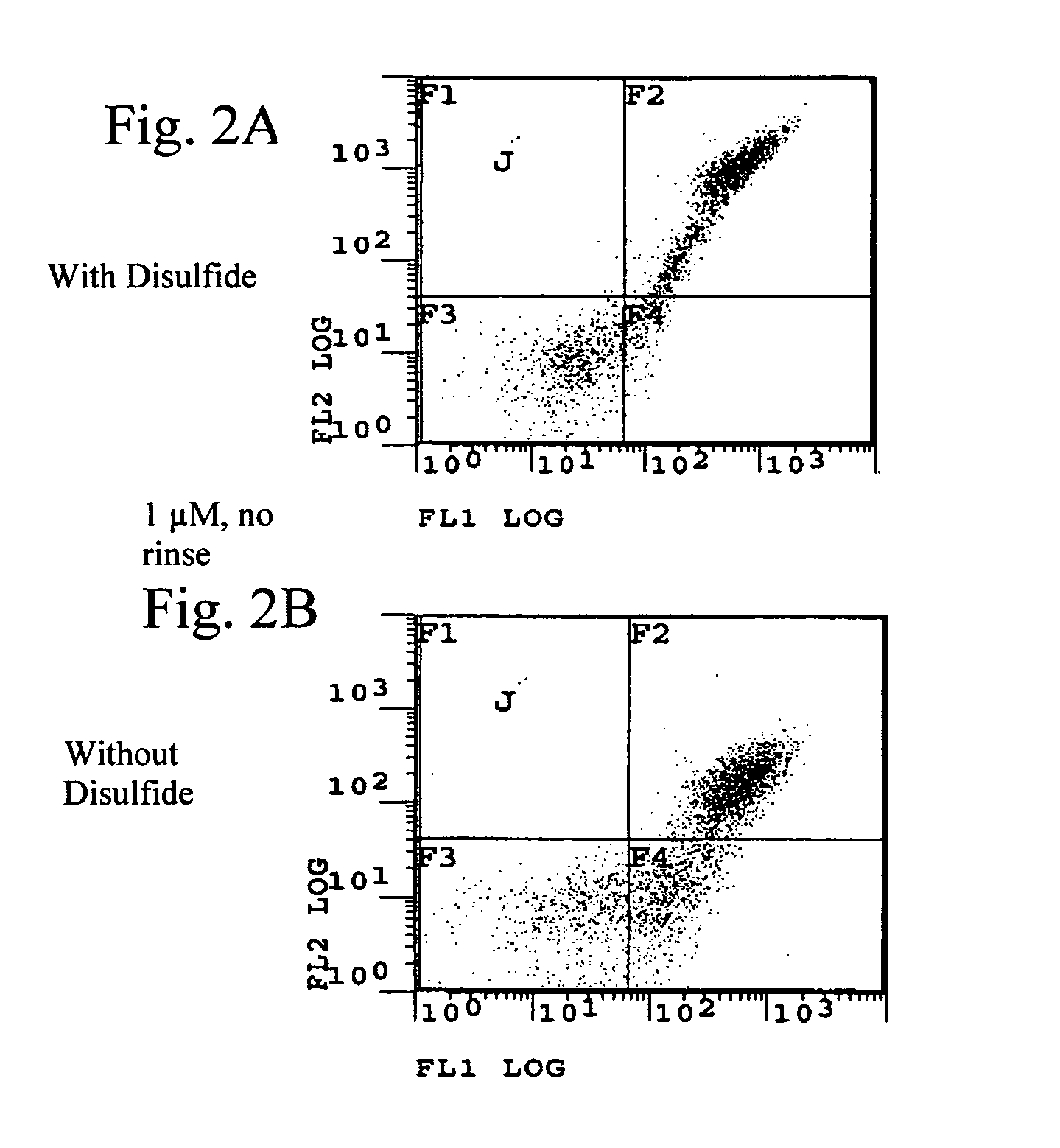 Single-domain antibodies and uses thereof