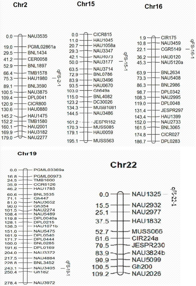 Molecular markers from sea island cotton Hai 1 and related to cotton fiber strength and application of molecular markers