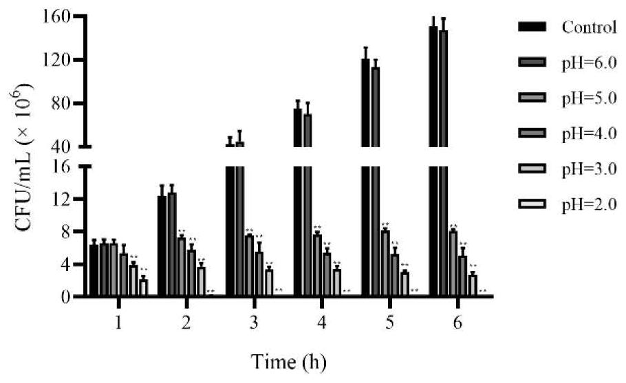 Lactobacillus johnsonii and application thereof in degradation of deoxynivalenol and inhibition of pathogenic bacteria