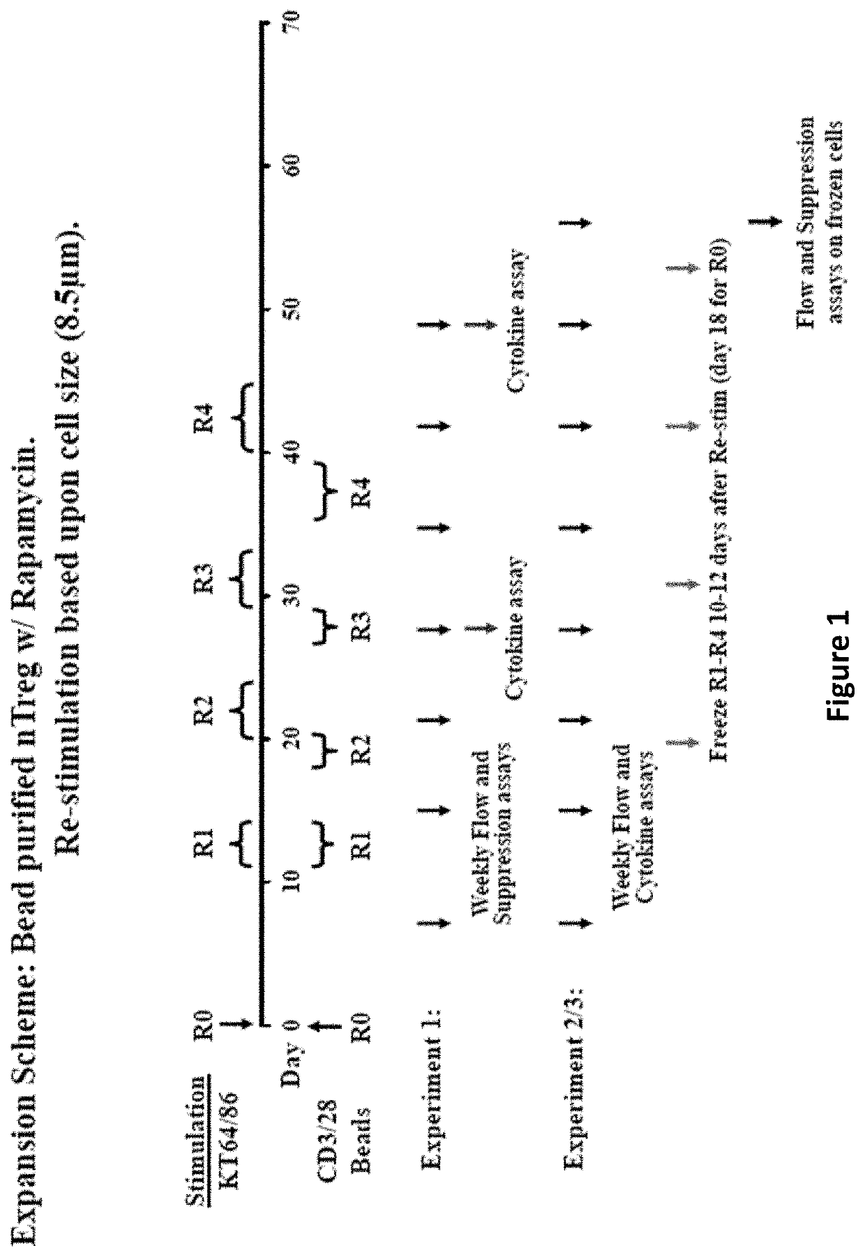 Methods to Expand a T Regulatory Cell Master Cell Bank