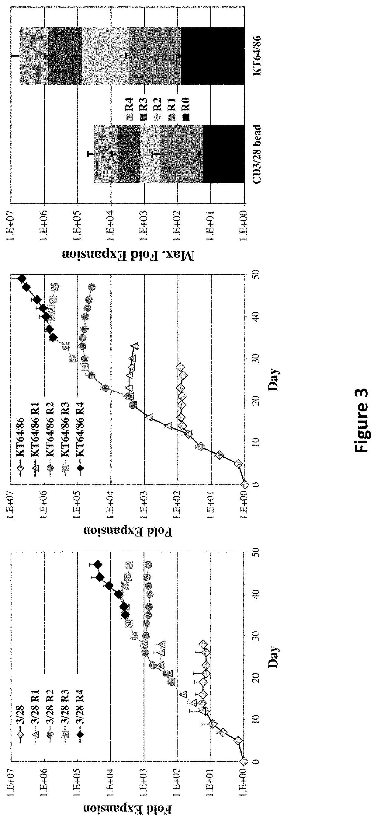 Methods to Expand a T Regulatory Cell Master Cell Bank