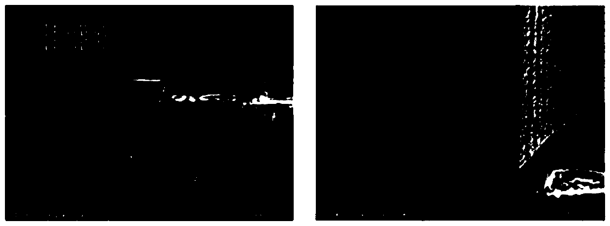 Etchant composition for copper-based metal layer and method for manufacturing array substrate of display device using same