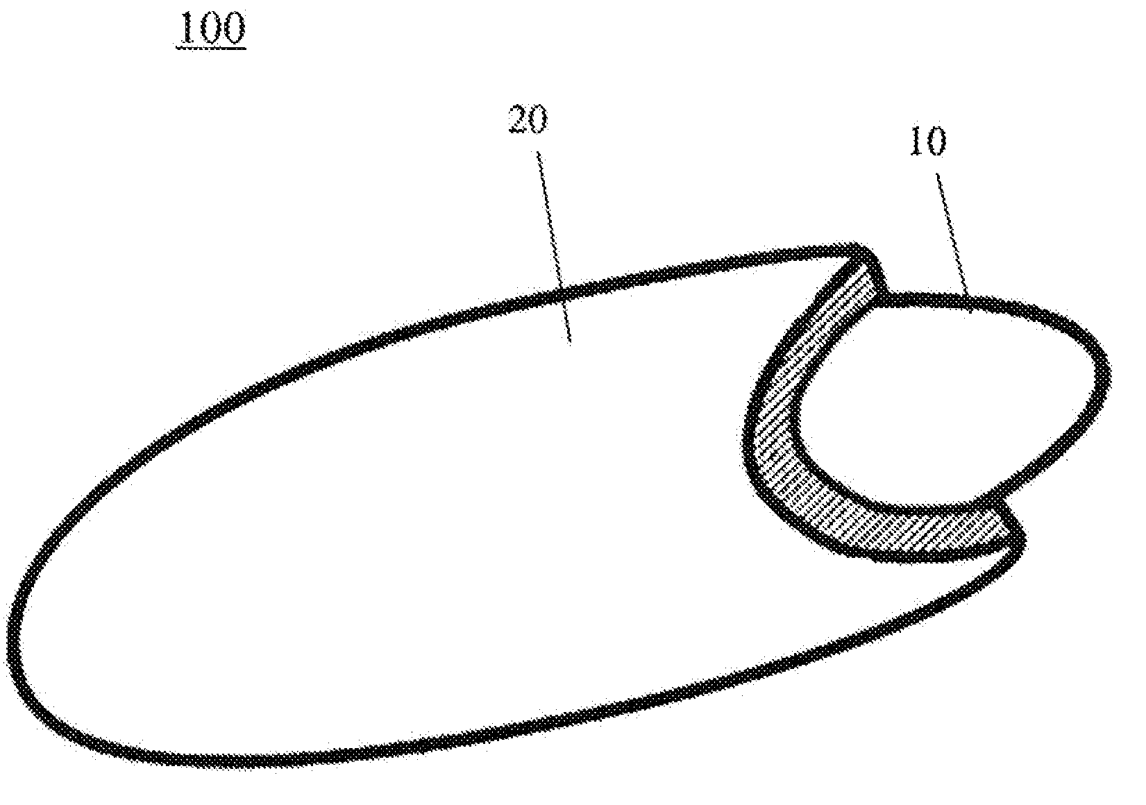 Whole Grain Rice Compositions and Coating Methods