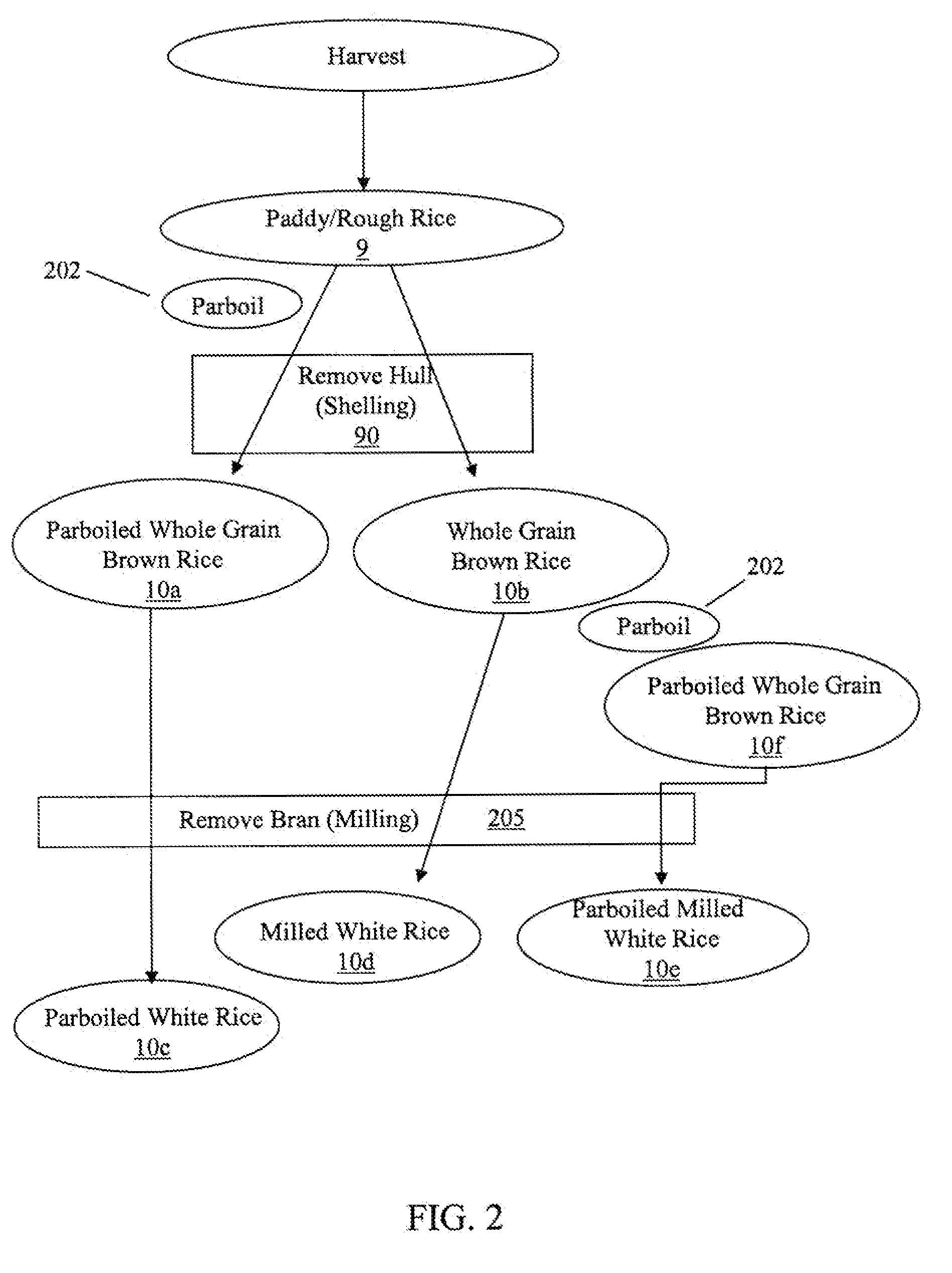 Whole Grain Rice Compositions and Coating Methods