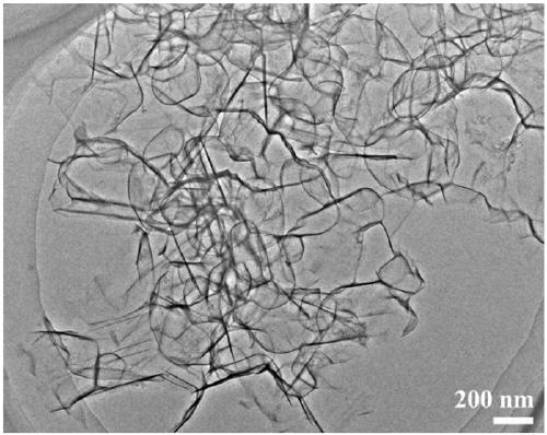 A kind of network graphene nanomaterial and its preparation method and application