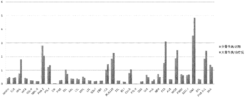 Lectin chip and application thereof