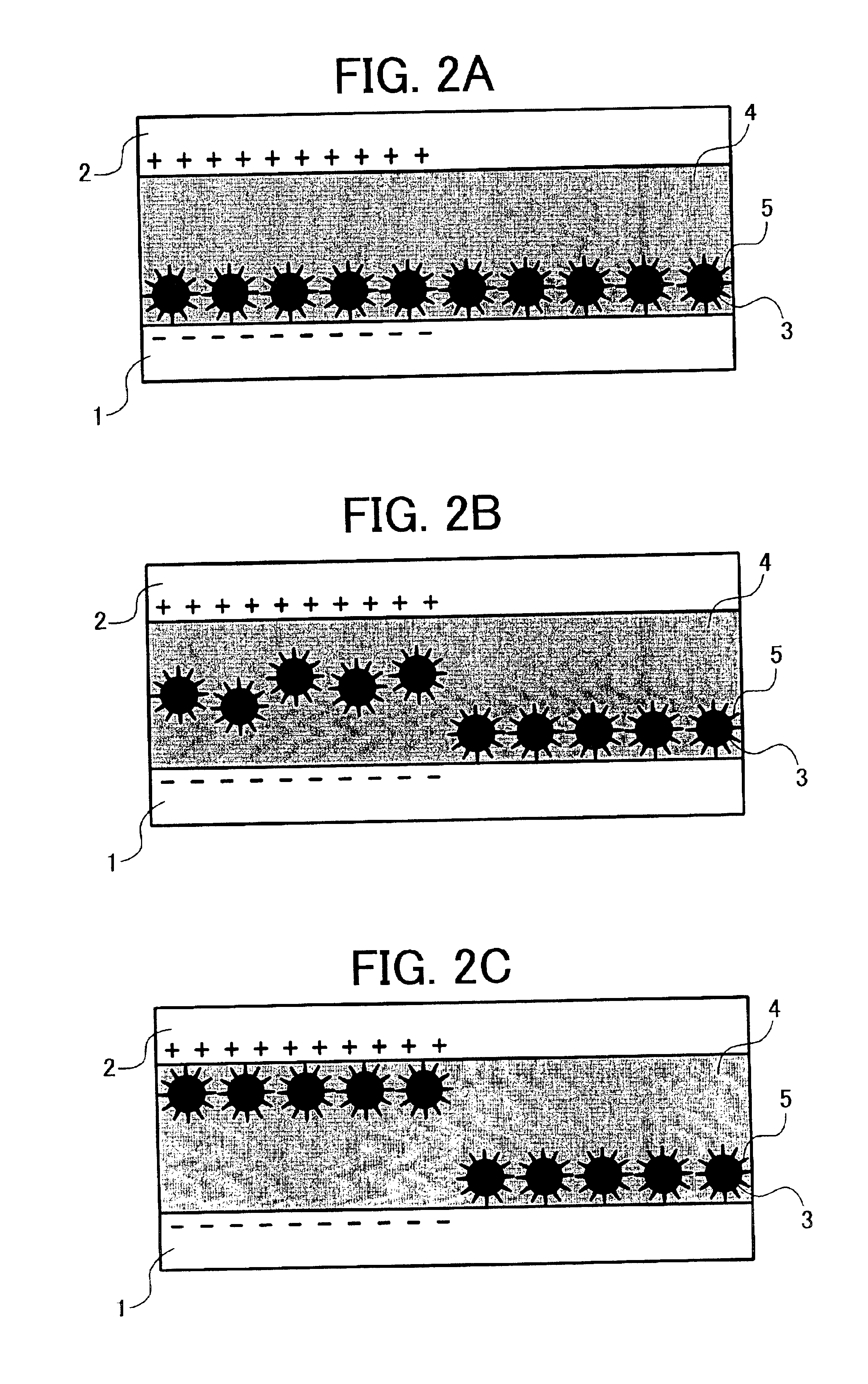 Silicone-oil soluble polymer, image display medium using the silicone-oil soluble polymer and image display device using the image display medium