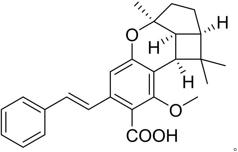 Drug composition of bisoprolol fumarate and pharmaceutical application thereof