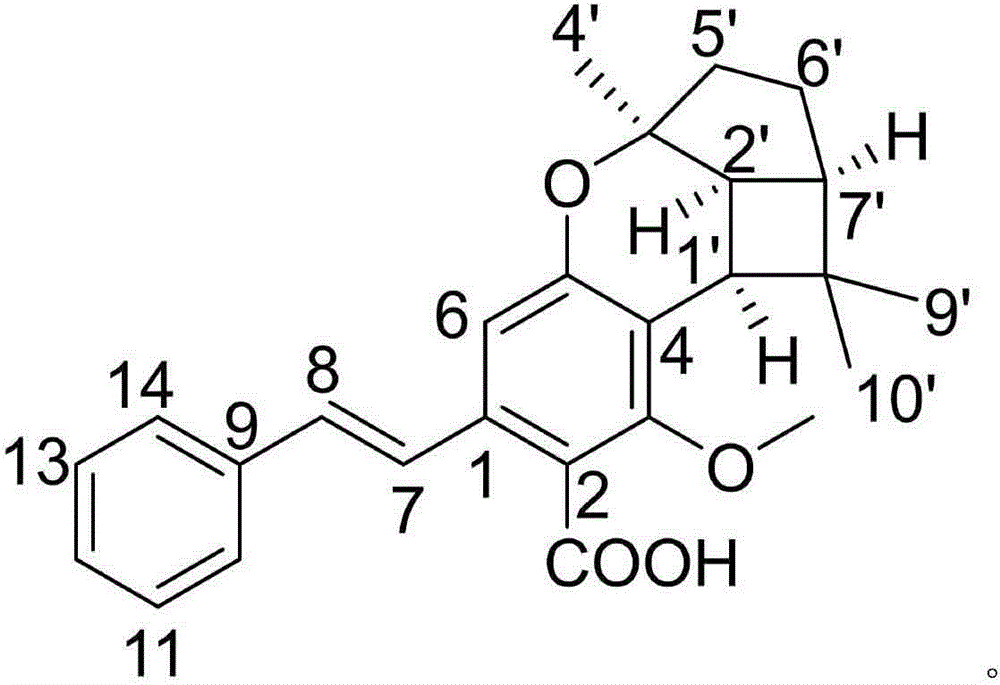 Drug composition of bisoprolol fumarate and pharmaceutical application thereof