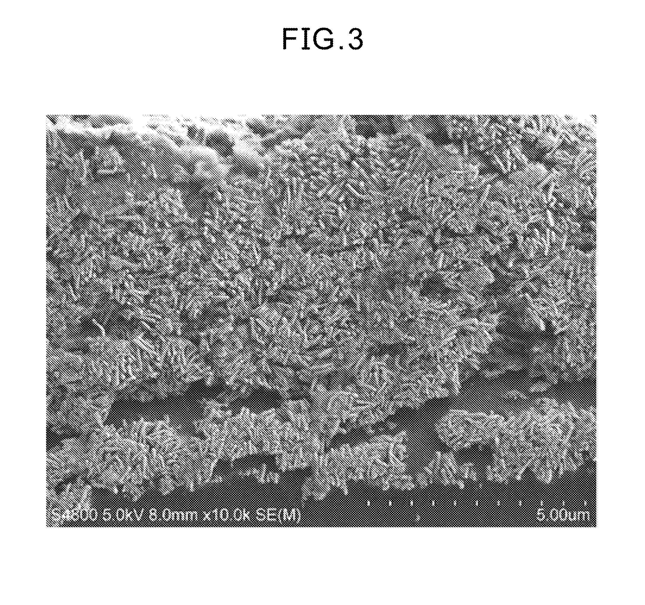 Electrode catalyst dispersion and ink composition