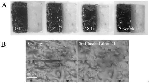 Preparation method of self-repairing electrode material based on supramolecular double-network structure