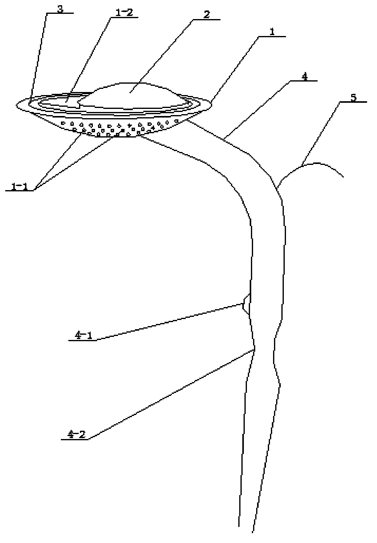 Novel shower head