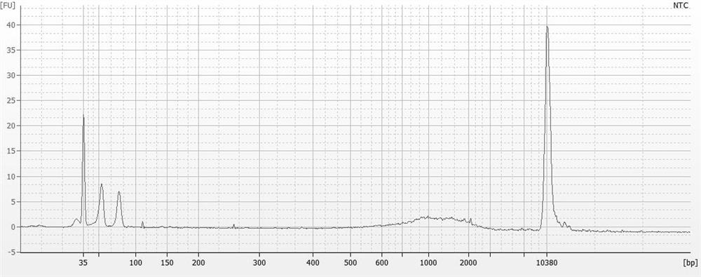 Enhanced MMLV reverse transcriptase mutant and application thereof