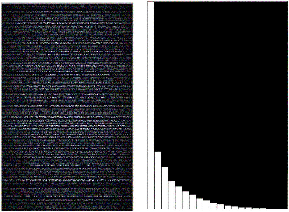 Information entropy-based snowflake noise detection method