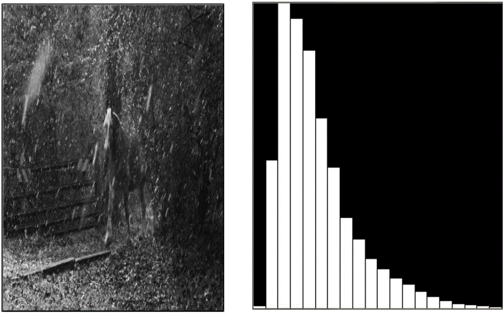 Information entropy-based snowflake noise detection method