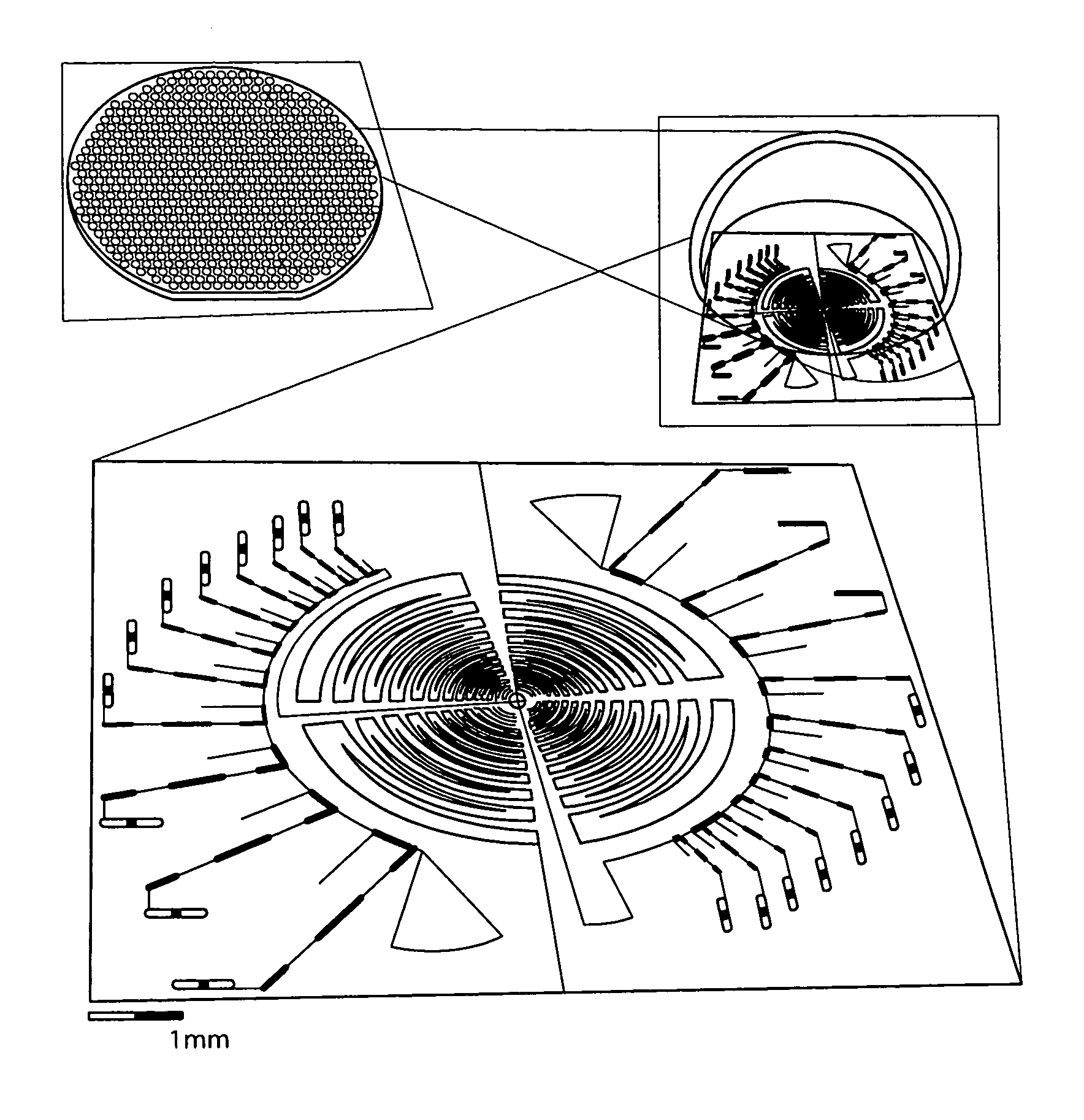 Channelized log-periodic antenna with matched coupling