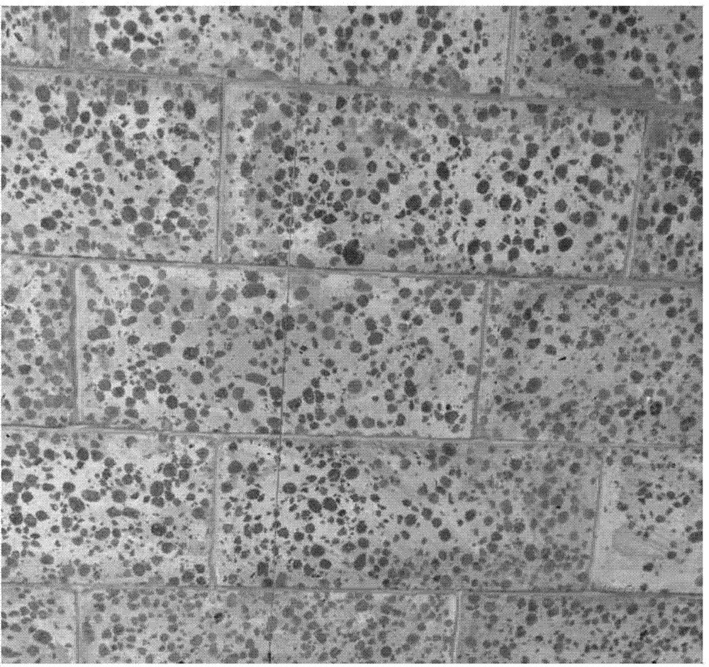 Sludge ceramsite and ceramsite enhanced foam concrete self-insulation building block and preparation method of building block