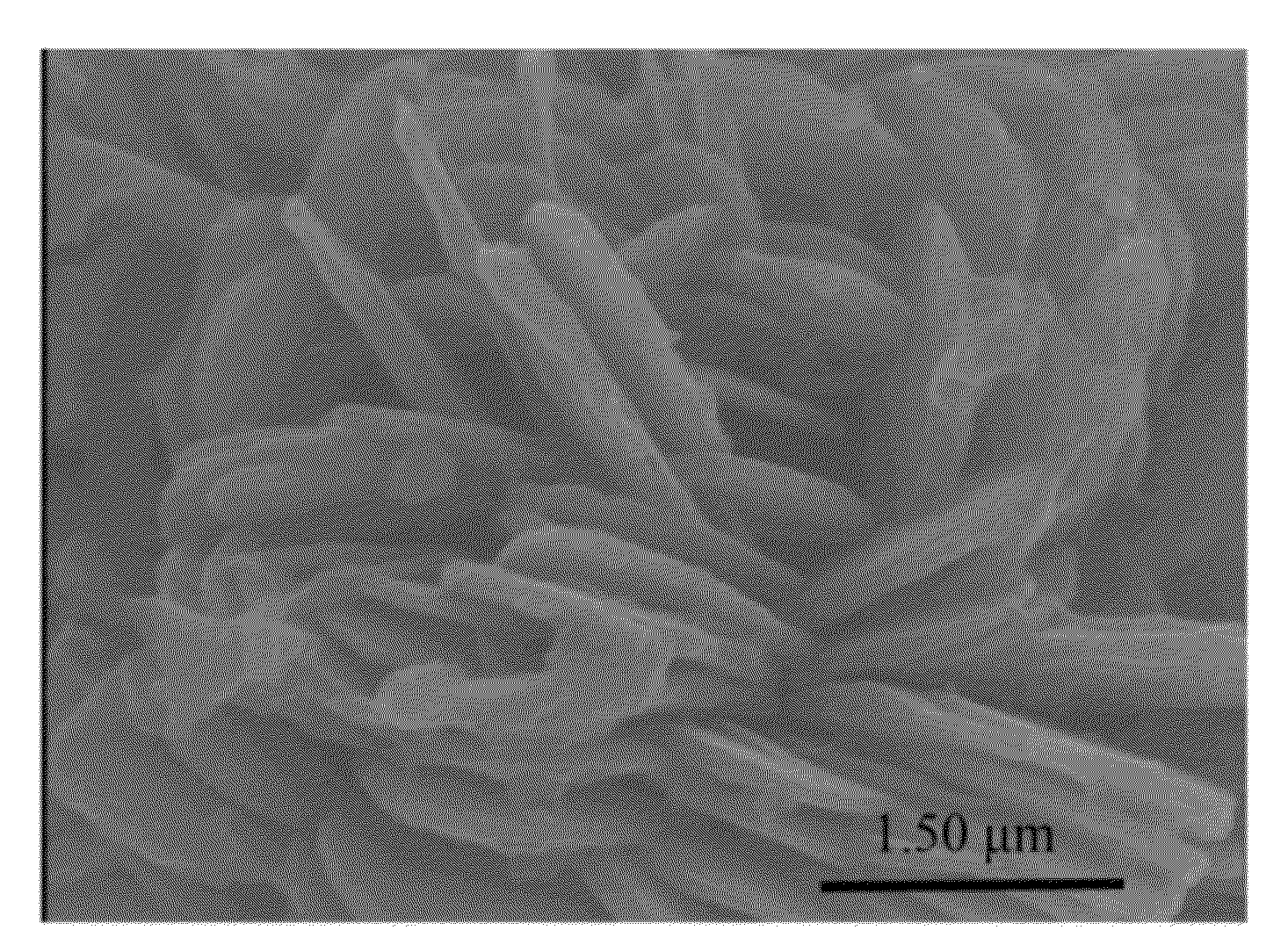 Ferrous phosphate (II) powders, lithium iron phosphate powders for li-ion battery, and methods for manufacturing the same