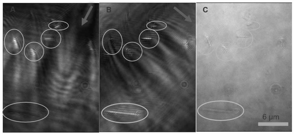 High-resolution imaging device for nano material and imaging analysis method of high-resolution imaging device