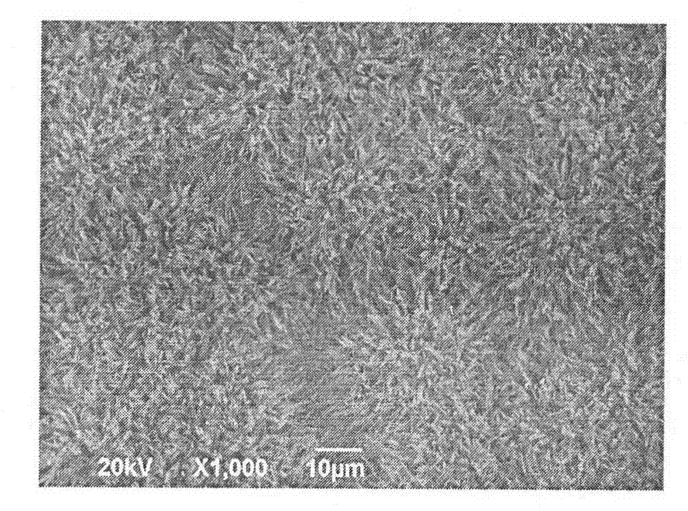 Electrochemical method for preparing citric acid-hydroxyapatite/zirconia transition coating on surface of biomedical titanium