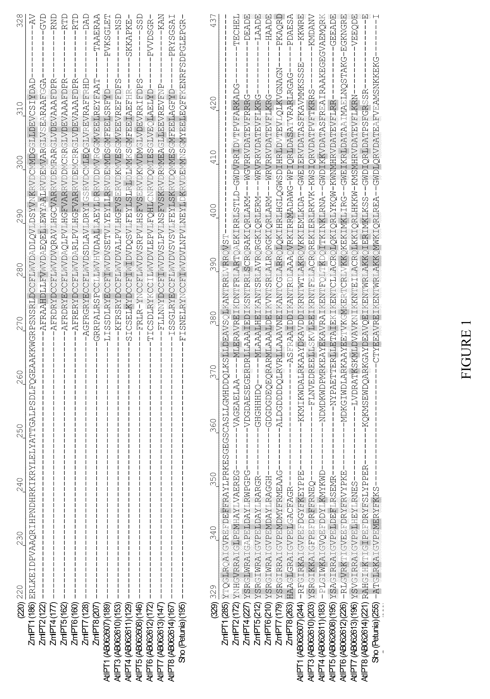 Isopentenyl transferase sequences and methods of use