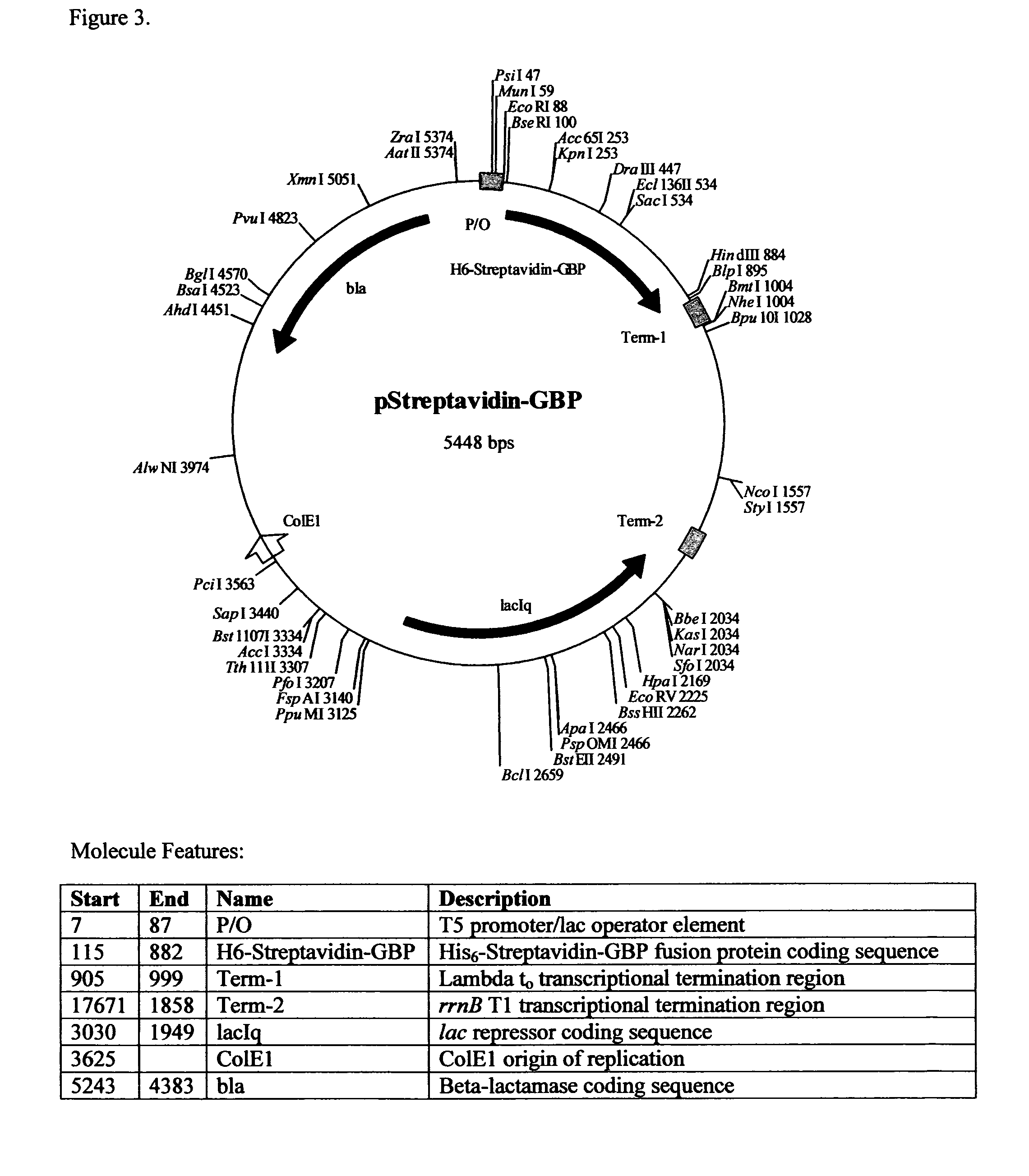 Recombinant fusion proteins with high affinity binding to gold and applications thereof