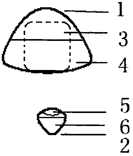 Magnetic control device for carrying wireless micro-devices to enter and exit abdominal cavity