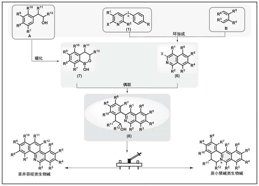 Method for synthesizing benzophenanthridine and protoberberine alkaloids through modular diversity regulation and control