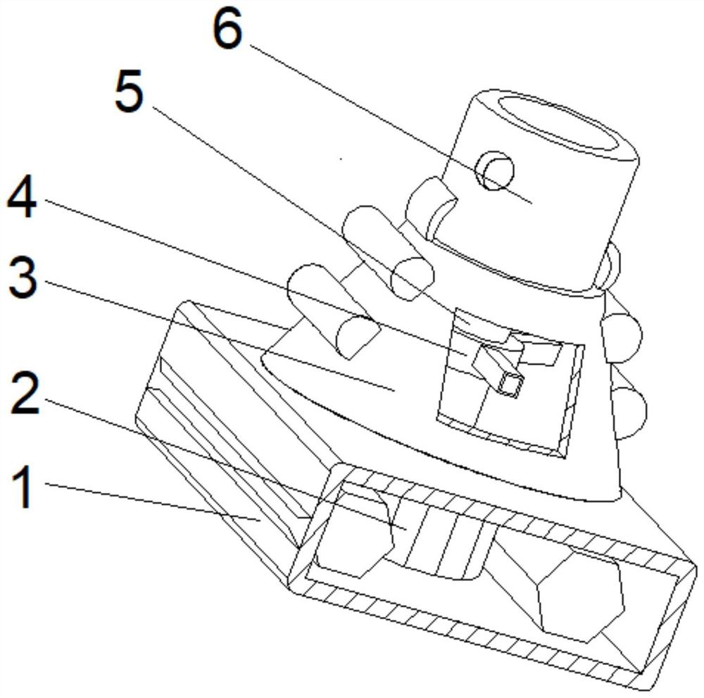 Algae cleaning device