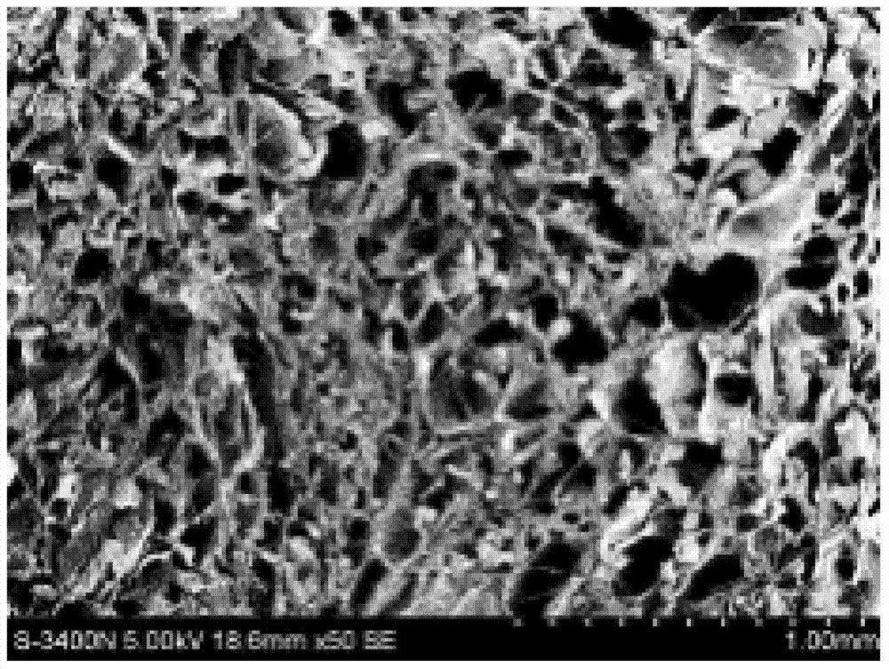 A double-network poly(n-acryloyl-l-α-amino acid)/hyaluronic acid composite hydrogel and its preparation method