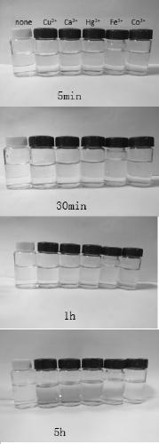 Hectorite-rhodamine hybrid fluorescent material and its preparation method and application