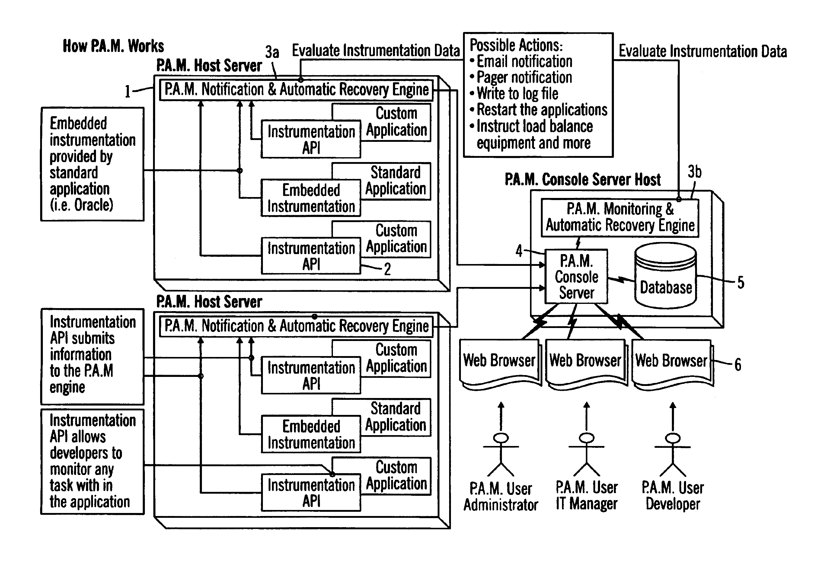 Application manager for monitoring and recovery of software based application processes