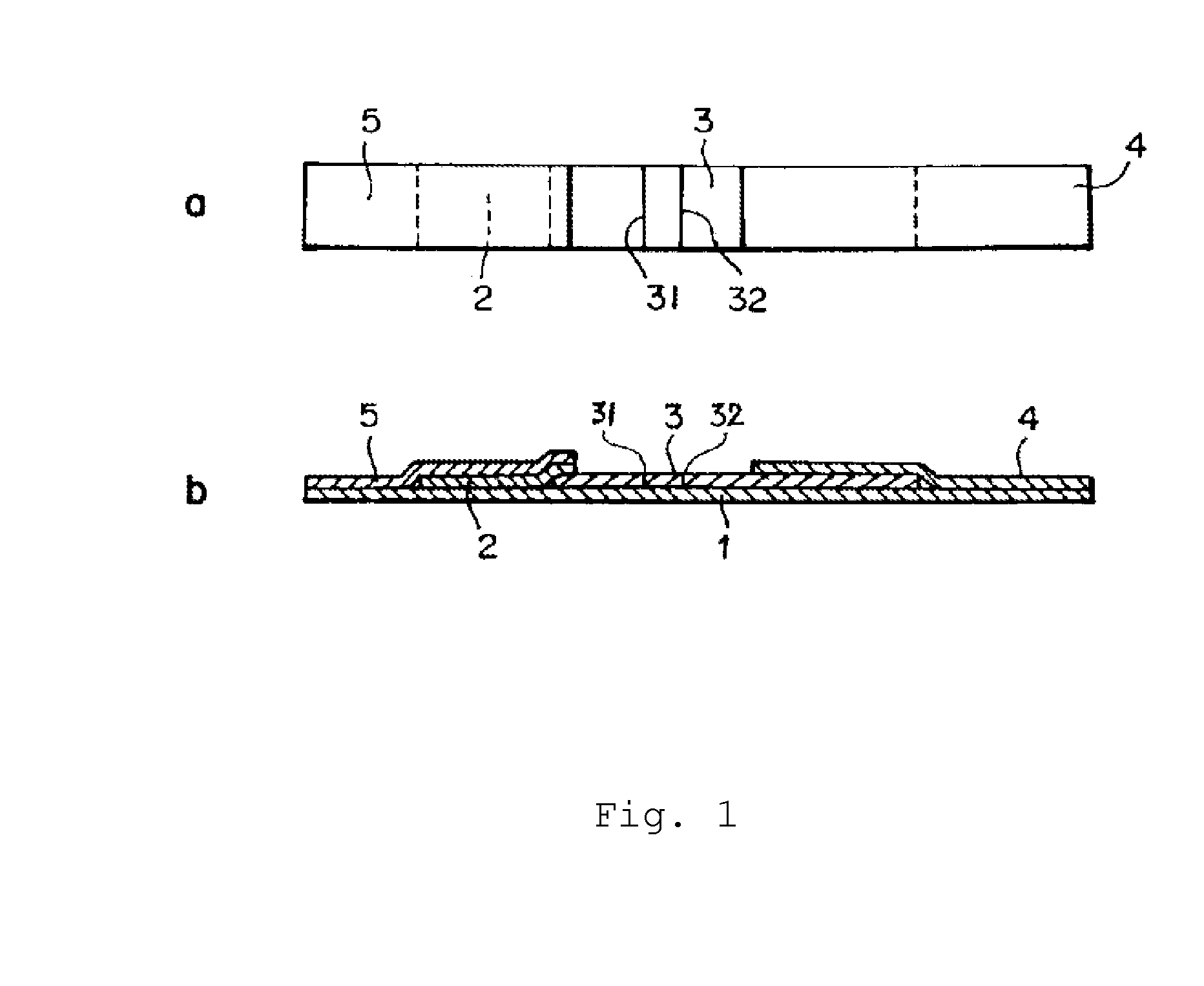 Mycoplasma pneumoniae immunological detection method and kit