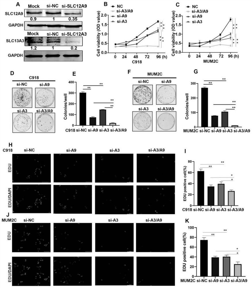 Application of SLC12A3 and/or SLC12A9 as detection index for treatment and prognosis of uveal melanoma