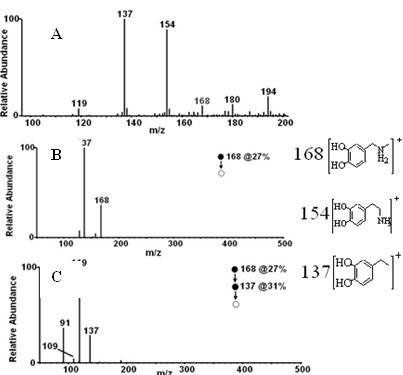 Carbon-11 labeled N-methyldopamine hydrochloride and preparation method thereof