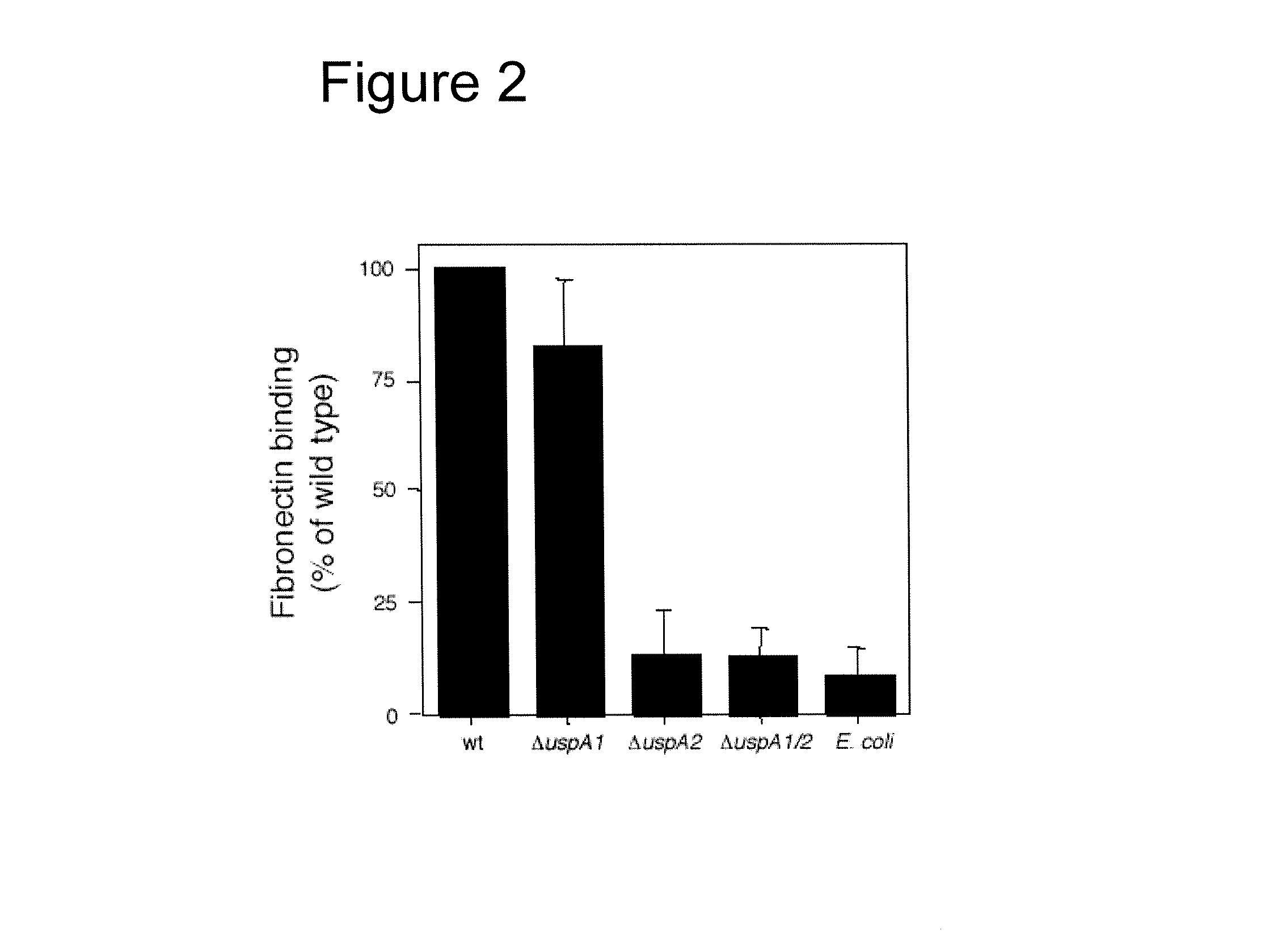 Interaction of <i>Moraxella catarrhalis </i>with epithelial cells, extracellular matrix proteins and the complement system