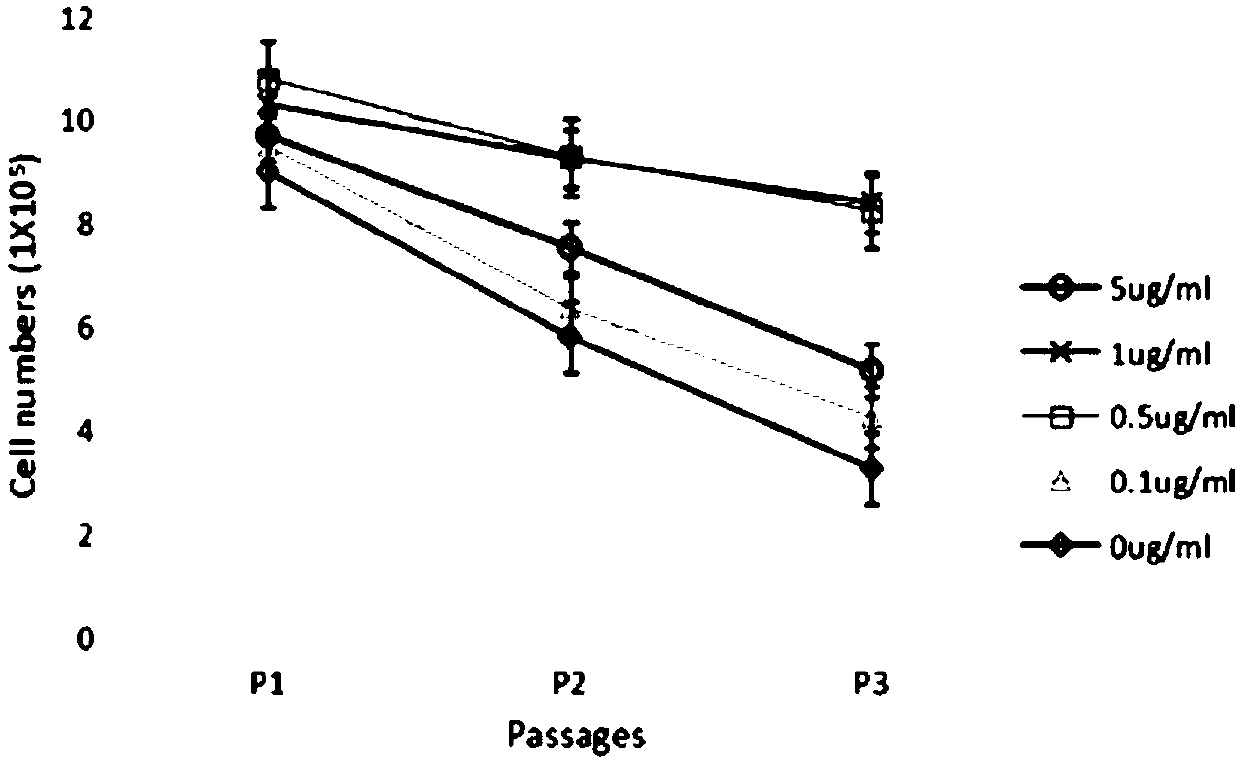 Limbal stem cell (LSC) culture medium and culture method