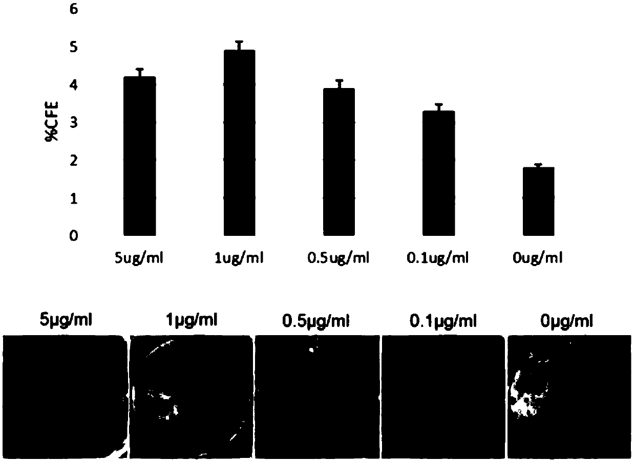 Limbal stem cell (LSC) culture medium and culture method